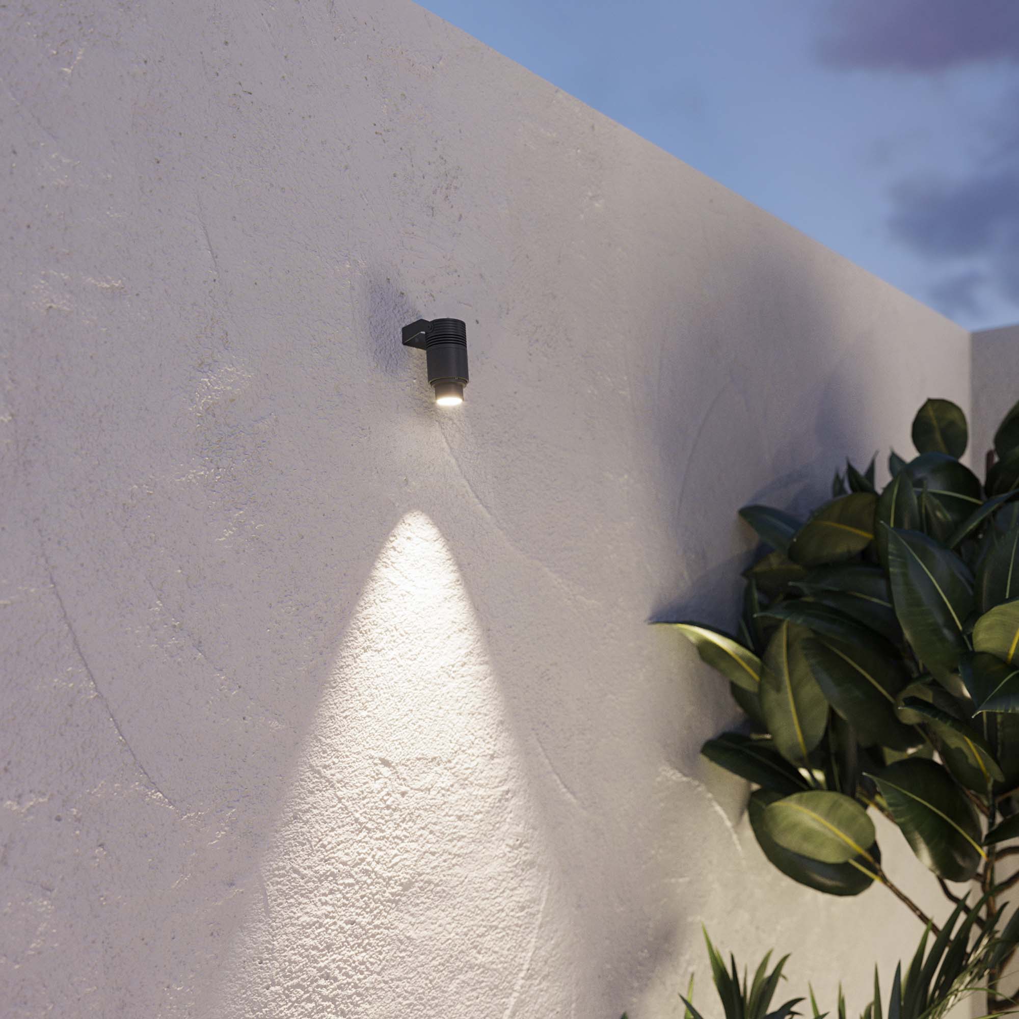 Ray_zoom_var_02_Close_Up_post_Crop.jpg