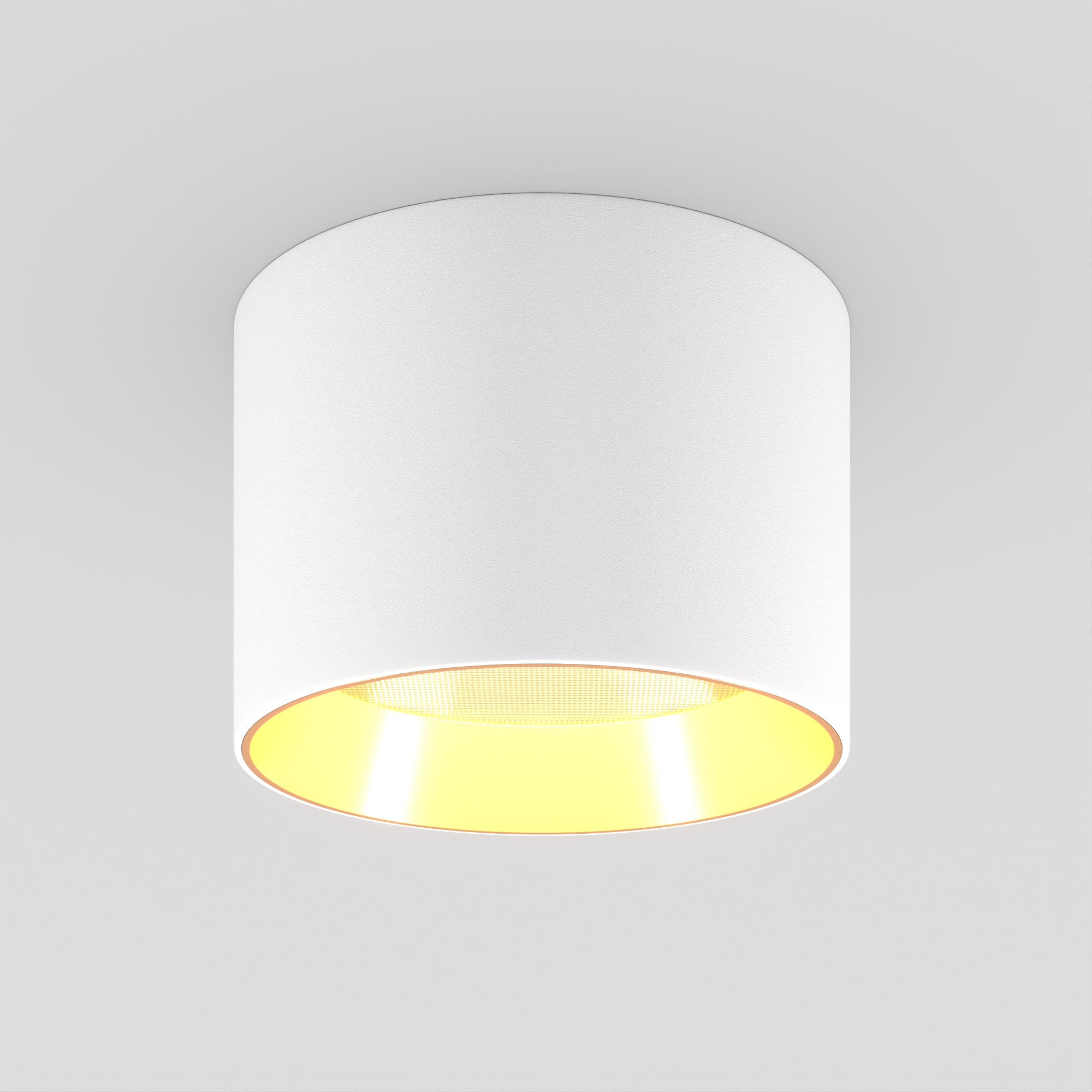 SP-BISCOTTO-R120-12W vray 2019 WH-GD.jpg