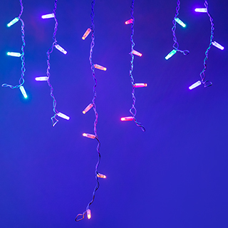 026022-2_m.jpg