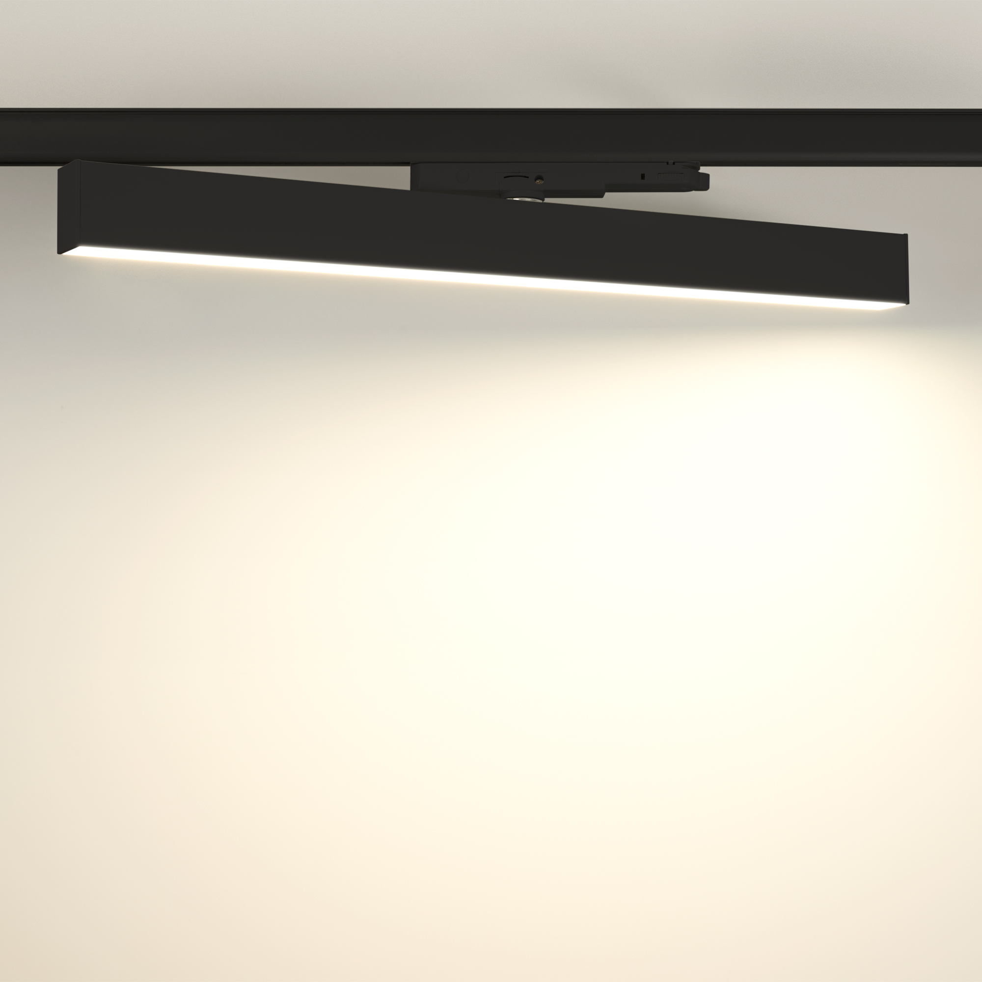 031469-10_BK_Warm.jpg