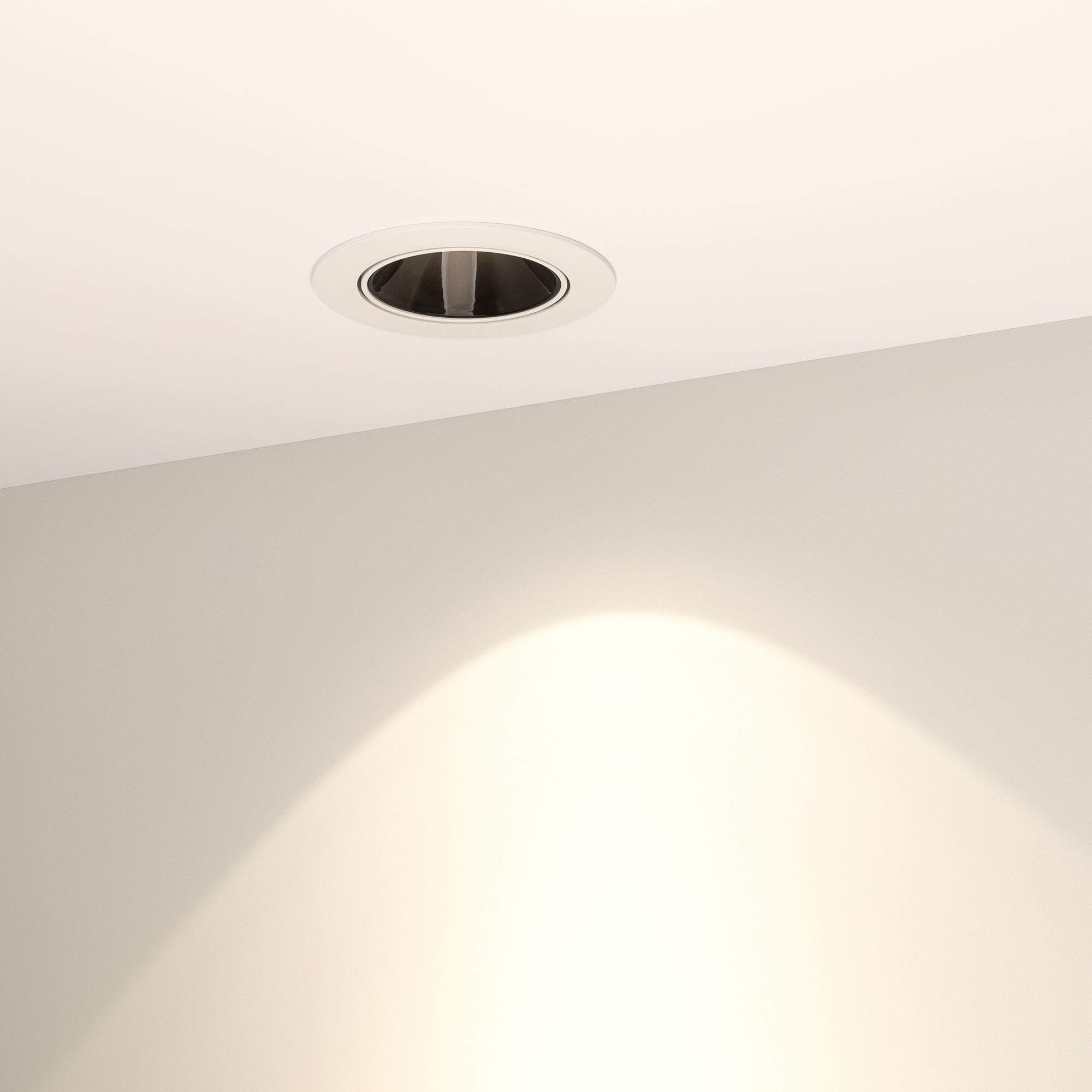033659-8_Warm.jpg