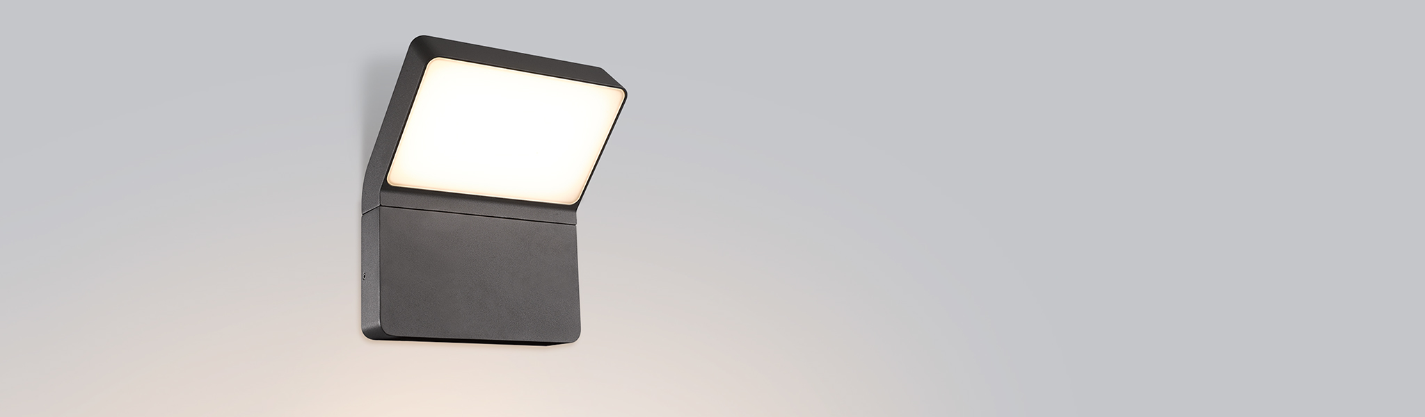 029989_light_top2048.jpg