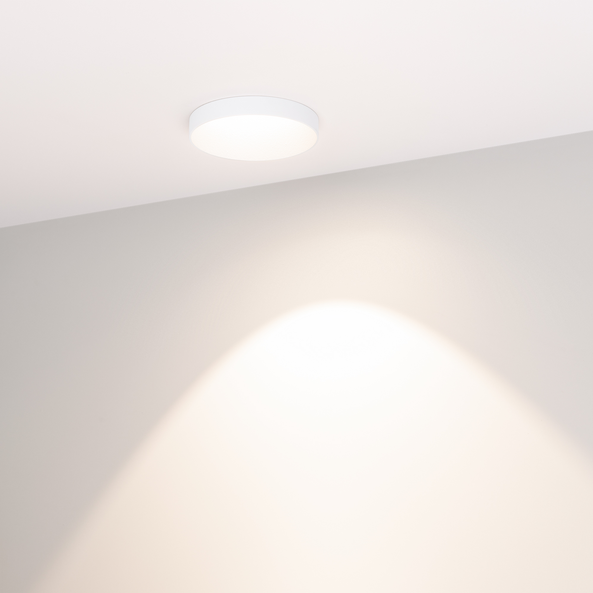 033663-7_Day.jpg