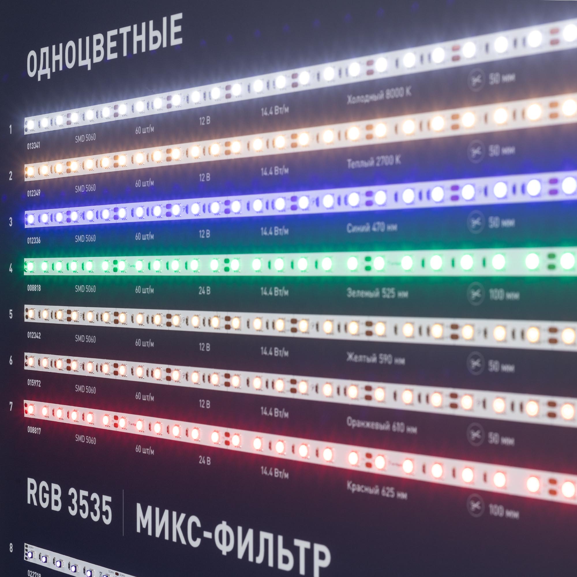 000908_1_-40.jpg