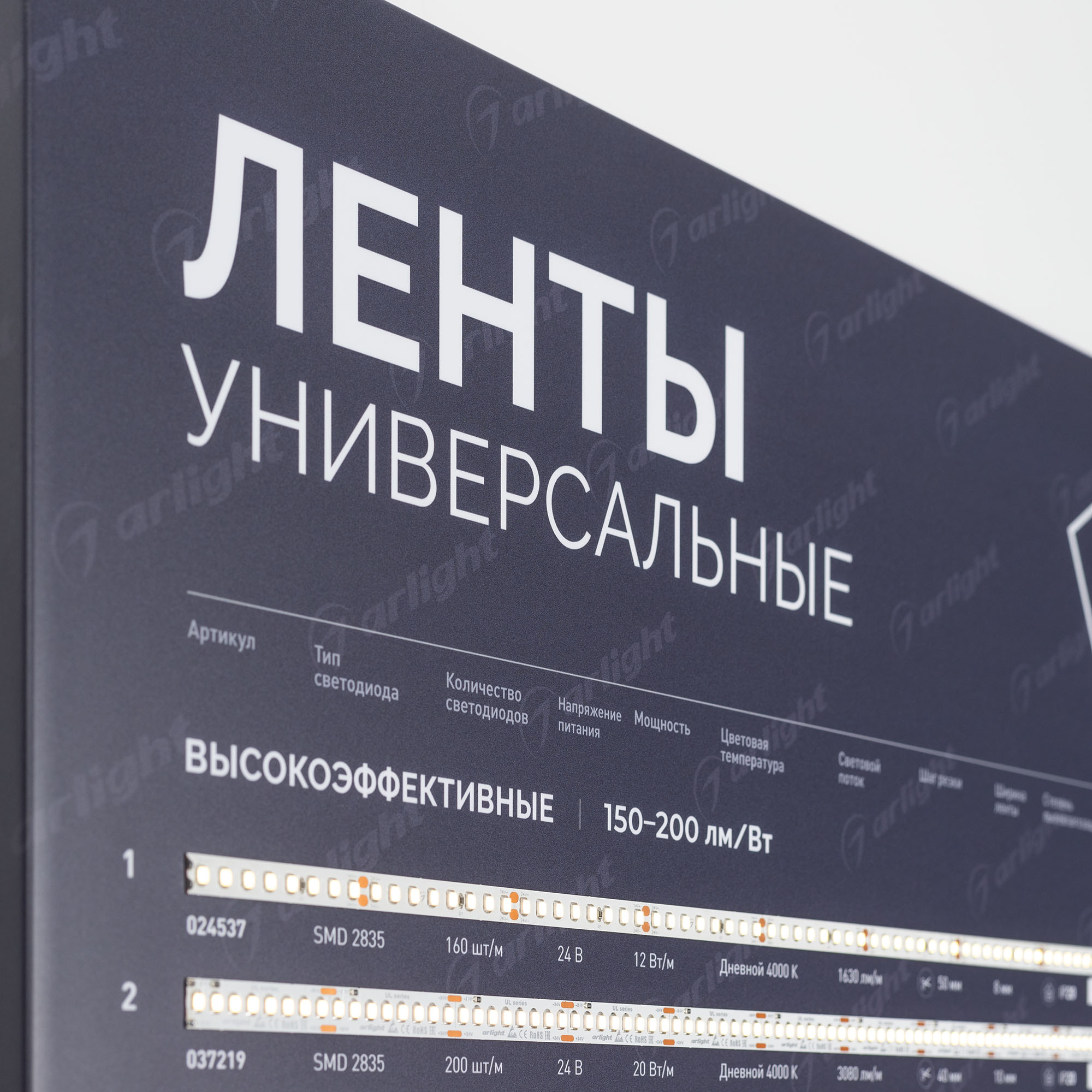049215-41.jpg