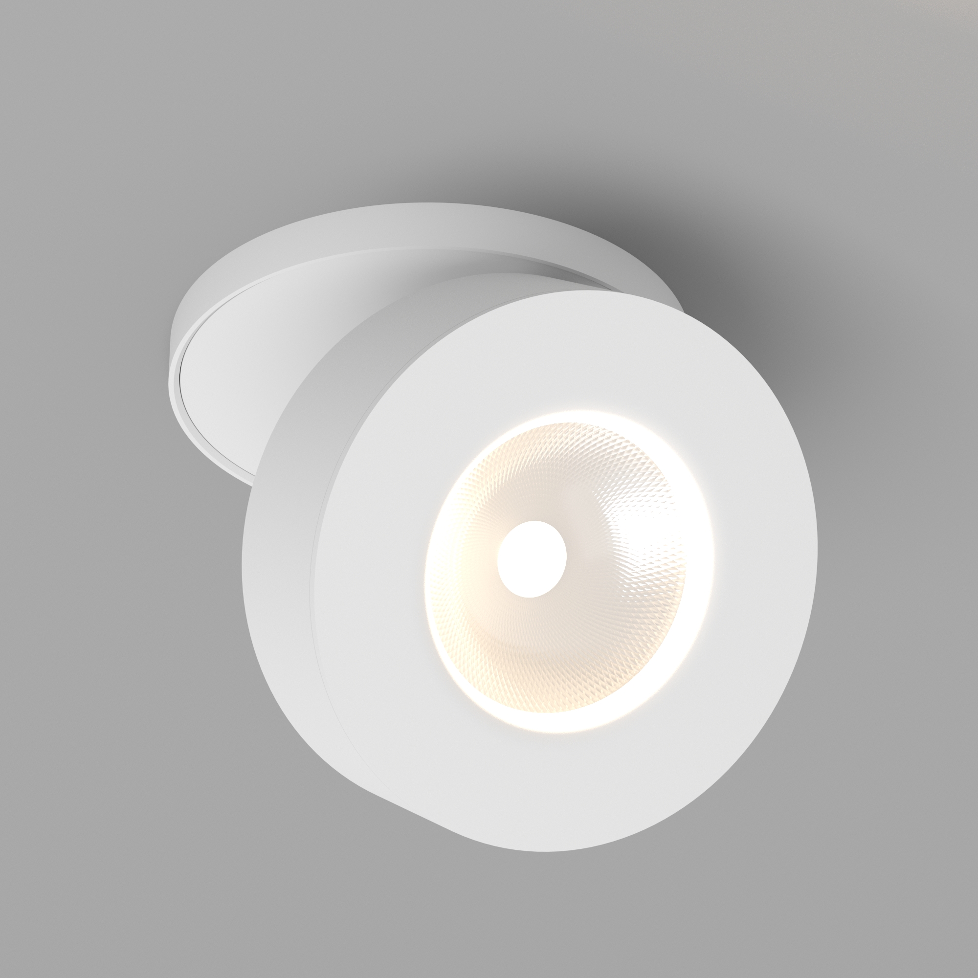 LGD-MONA-BUILT-R100-12W_vray_2015.jpg