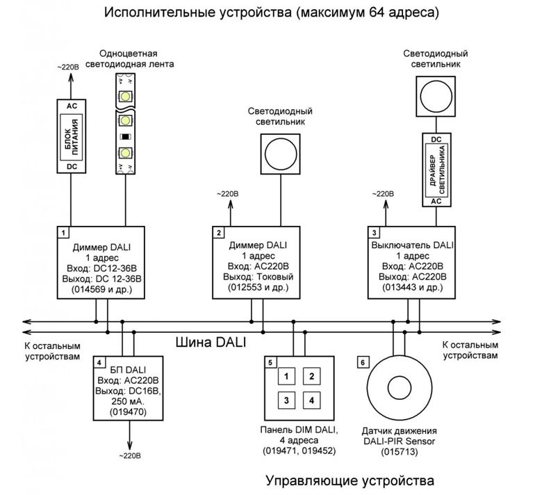 устр.JPG