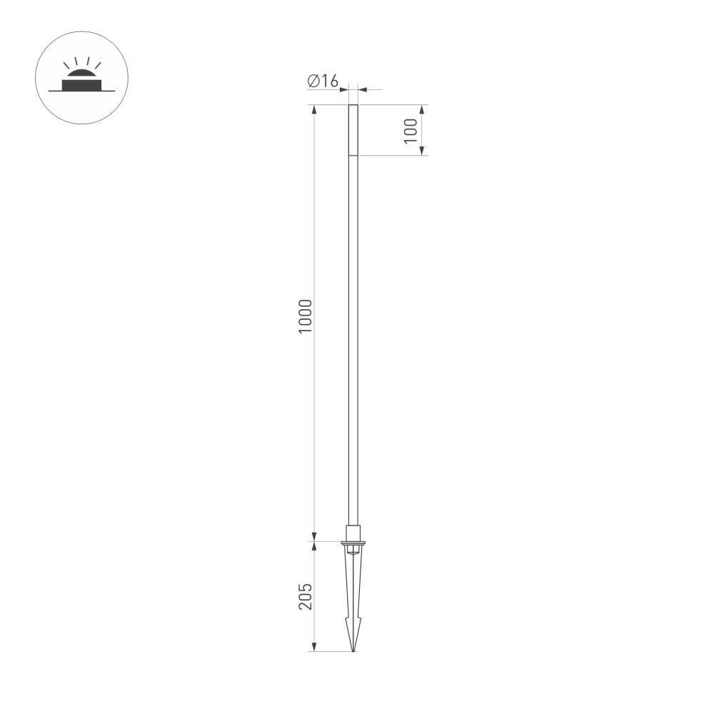 CANNA_size_1000.jpg